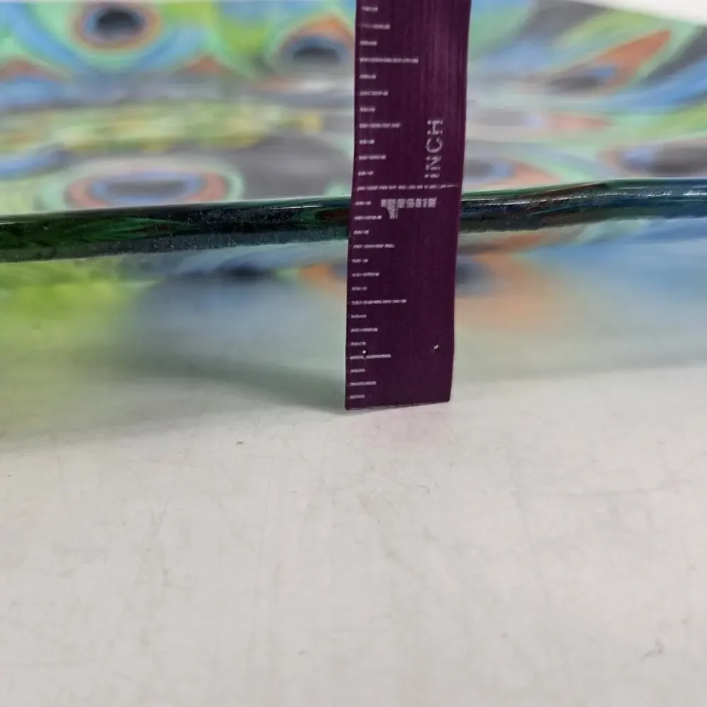 Hand Painted Peacock Plate Square Glass Beautiful Display Piece 12